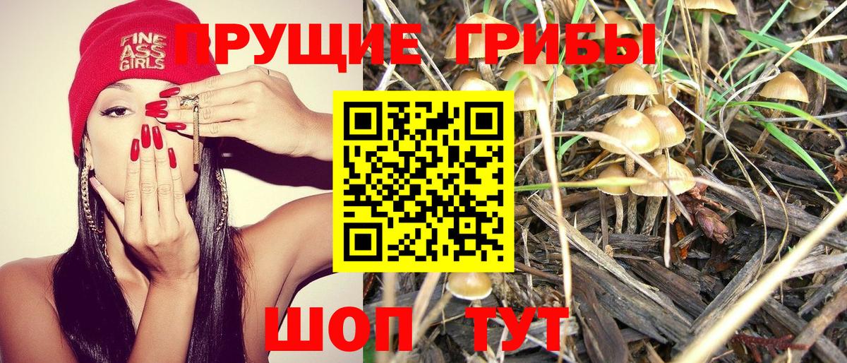 Галлюциногенные грибы GOLDEN TEACHER Котлас